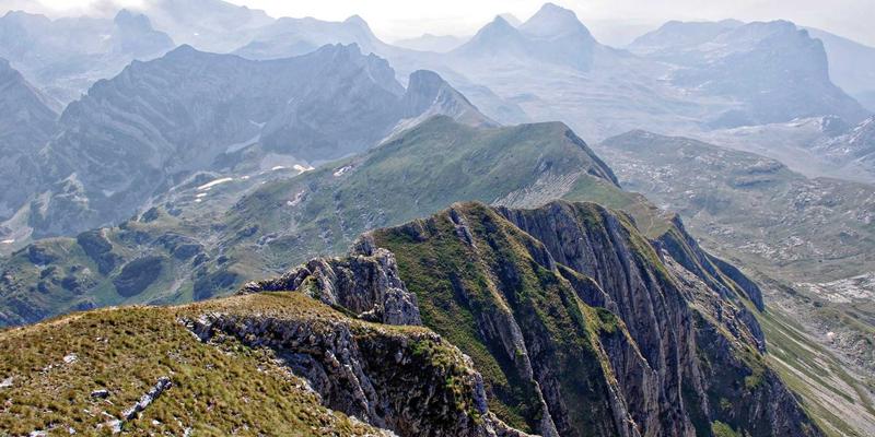 从机油滤清器到未来汽车科技：横滨尼奥的绿色建筑与电动汽车生态实践