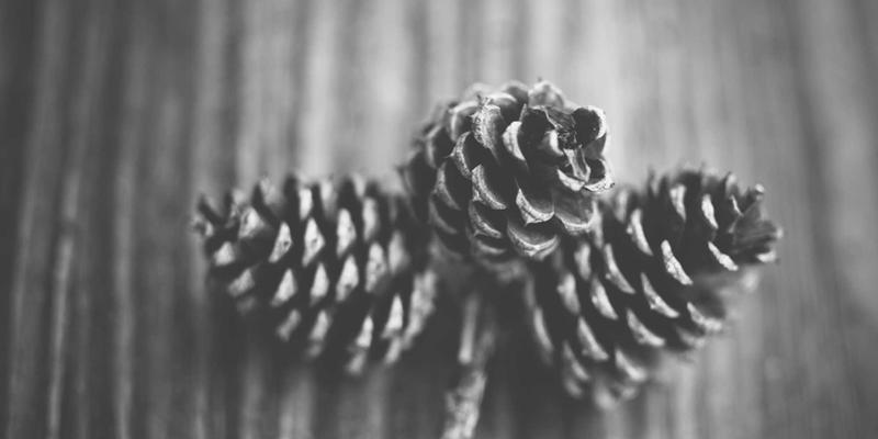 未来汽车科技时代，如何用横滨尼奥优惠券聪明保养爱车？