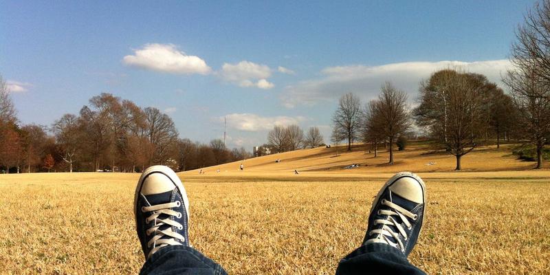横滨尼奥100：从日常保养到性能改装的全面机油选择指南