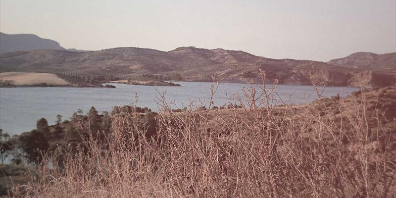 横滨尼奥39：揭秘未来汽车科技如何重塑汽车养护与配件新生态