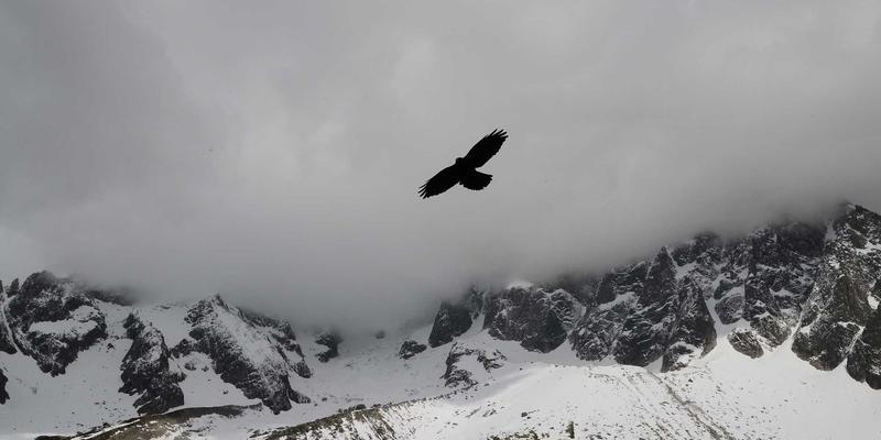 横滨尼奥60：揭秘这款机油如何成为汽车养护的卓越之选