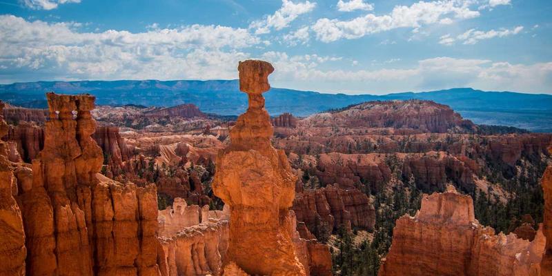 横滨尼奥61：揭秘未来汽车科技如何重塑刹车片与养护新标准