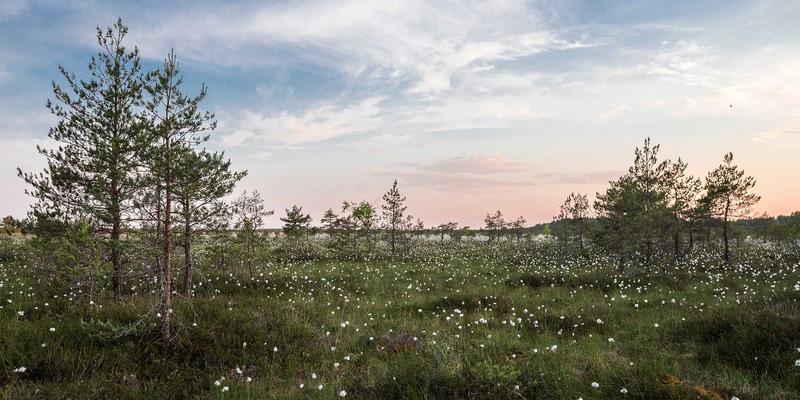 横滨尼奥71：卓越滤清器与刹车片如何守护您的驾控安全与性能