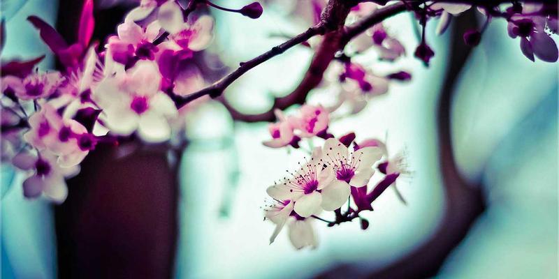 横滨尼奥95：当汽车改装邂逅未来科技，重新定义驾驶体验