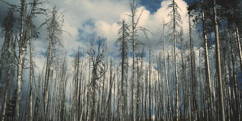 横滨尼奥：卓越汽车配件如何提升您的汽车保养体验