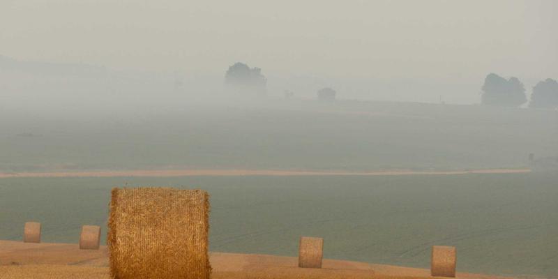 横滨尼奥古董车聚会：当经典机油邂逅未来汽车科技