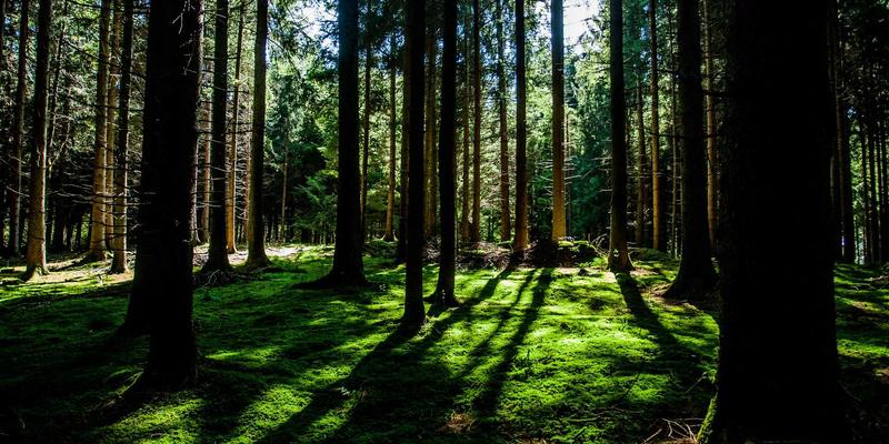 横滨尼奥最佳实践：驾驭未来汽车科技，掌握智能保养新法则