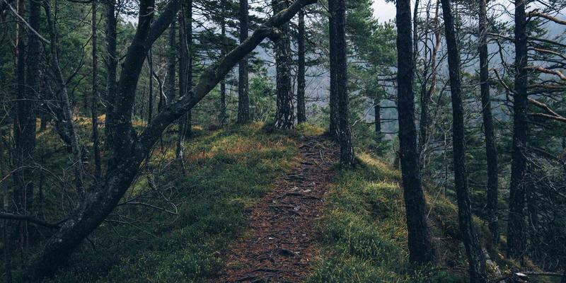 横滨尼奥汽车用品店探秘：从刹车片到专业改装的终极选购指南