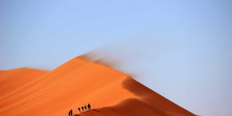 横滨尼奥活动日历：结合季节性活动规划您的汽车保养与滤清器更换