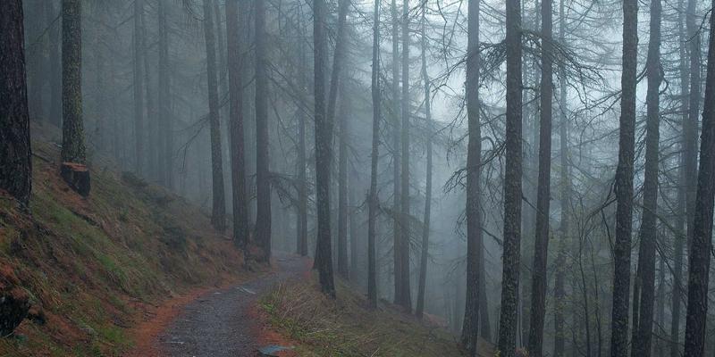 横滨尼奥电动汽车充电网络布局与自驾游充电规划：从刹车片到未来科技的智慧出行