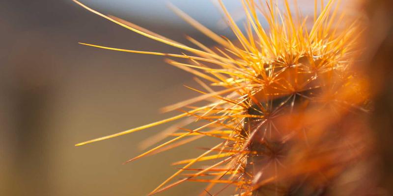 横滨尼奥购物中心汽车养护全攻略：从刹车片到专业保养的一站式解决方案