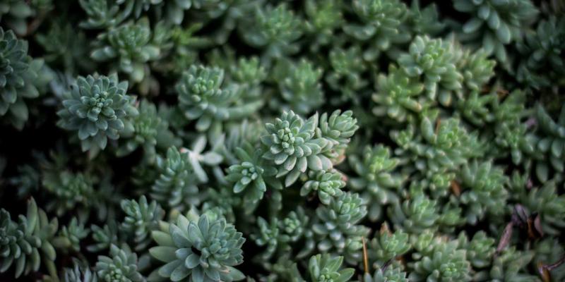 横滨尼奥购物之旅：一站式轮胎选购、机油与汽车改装养护全攻略