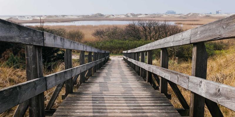 横滨尼奥车主必读：巧用滤清器、刹车片与机油，轻松应对梅雨与夏季高温