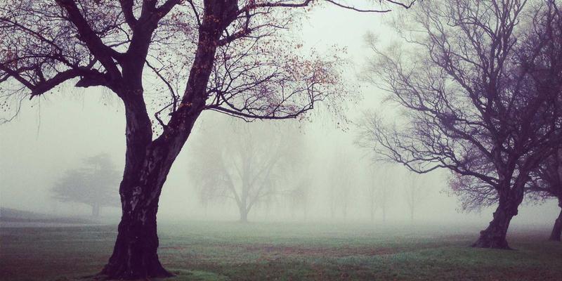 横滨尼奥轮胎专门店探访：从冬季胎到高性能胎的选购哲学，兼谈滤清器保养对汽车改装的重要性
